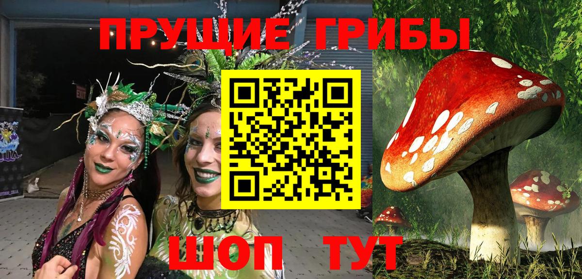 Галлюциногенные грибы прущие грибы Карталы