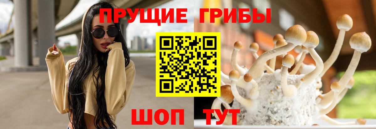 Карталы  Псилоцибиновые грибы GOLDEN TEACHER  где купить наркотик  Вход с VPN 